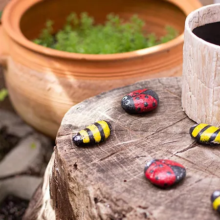 Διαμέρισμα Dreamcatcher's By Rv *