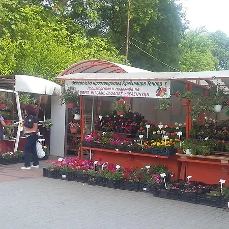 Dreamcatcher's By Rv Διαμέρισμα *