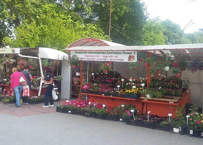 Dreamcatcher's By Rv Apartment *